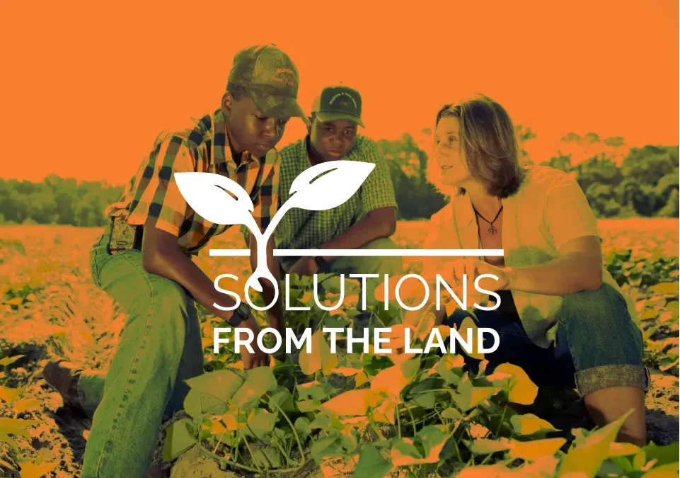 Solutions from the Land